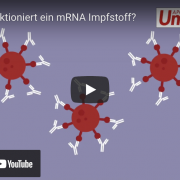Ratgebervideo zu mRNA Impfstoffen