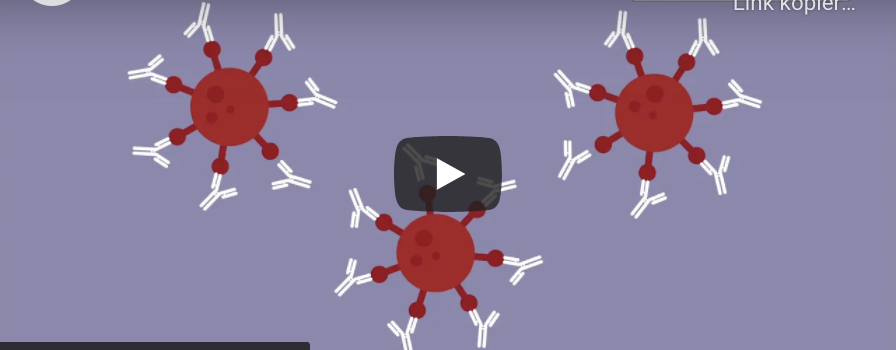 Ratgebervideo zu mRNA Impfstoffen