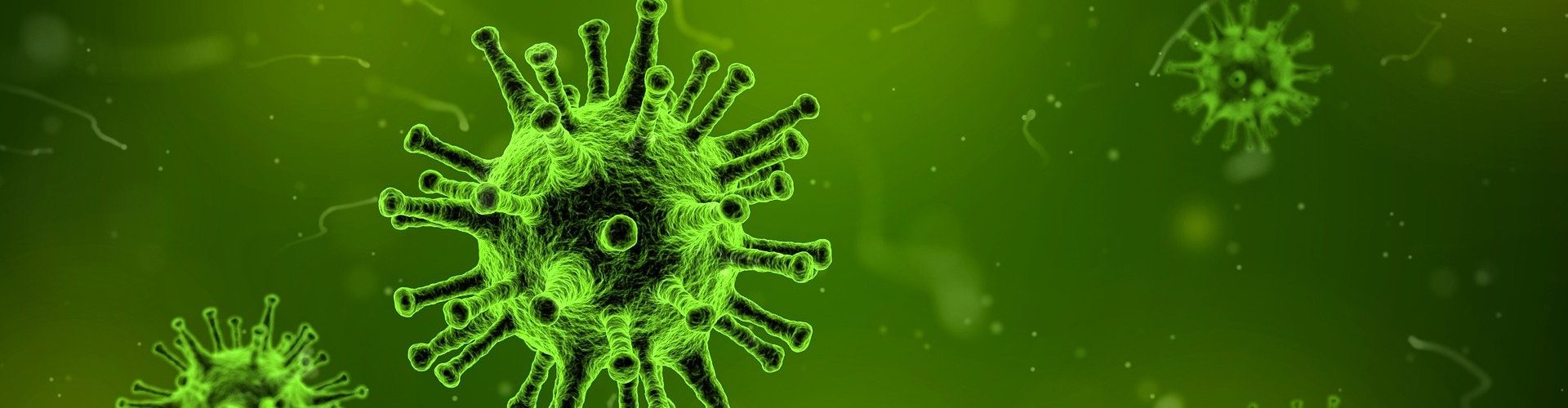 Neue Methode identifiziert T-Zellen von Covid-19-Erkrankten
