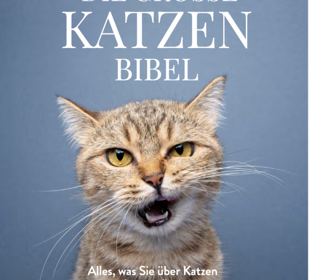 Die große Katzenbibel: Alles, was Sie über Katzen wissen müssen