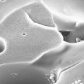 Konstanzer Chemiker und Biologinnen entwickeln Mineralplastik mit guter biologischer Abbaubarkeit