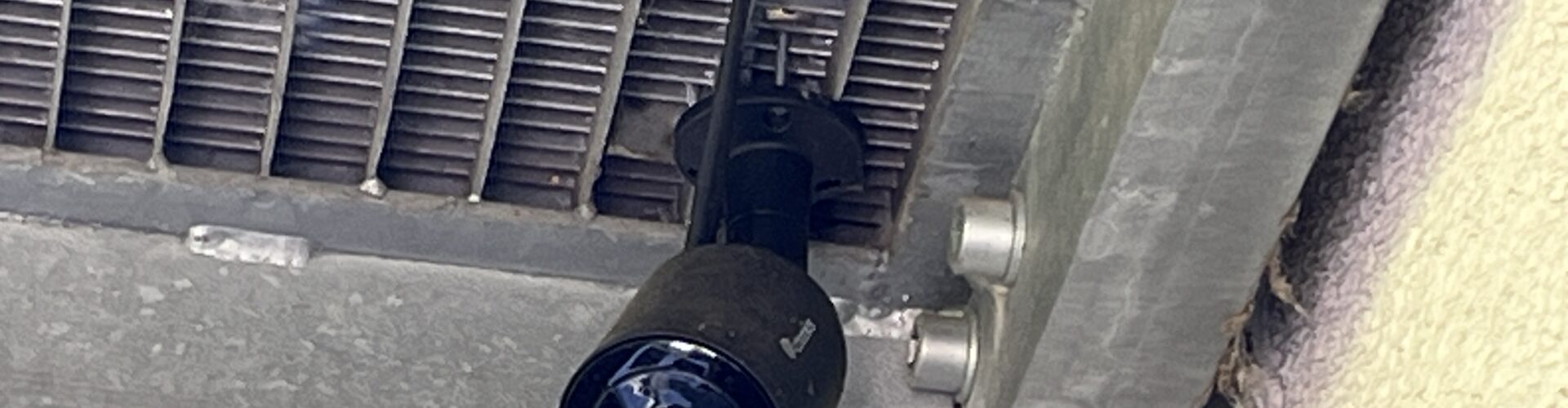 ENDLICH! Kabinett beschließt verpflichtende Videoüberwachung in Schlachthöfen