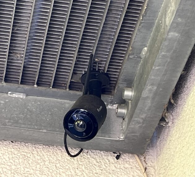 ENDLICH! Kabinett beschließt verpflichtende Videoüberwachung in Schlachthöfen