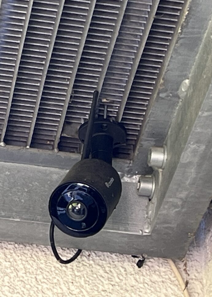 ENDLICH! Kabinett beschließt verpflichtende Videoüberwachung in Schlachthöfen