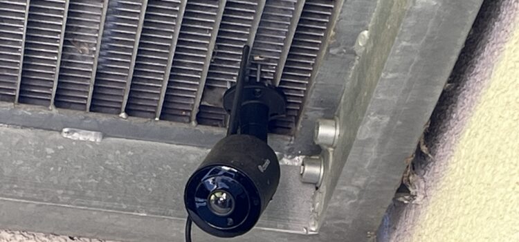 ENDLICH! Kabinett beschließt verpflichtende Videoüberwachung in Schlachthöfen