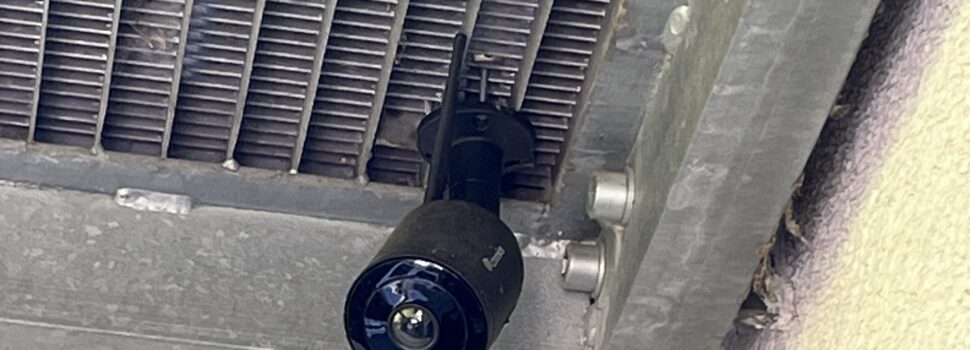 ENDLICH! Kabinett beschließt verpflichtende Videoüberwachung in Schlachthöfen