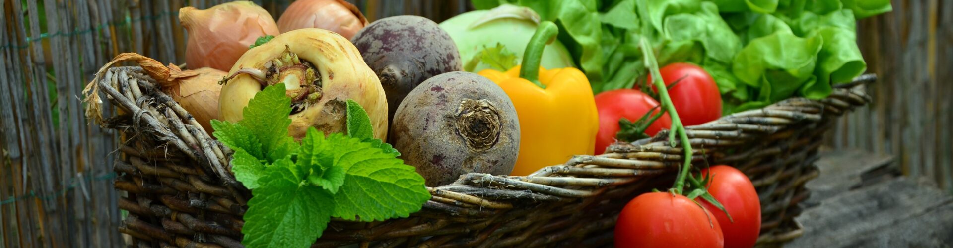 Vegetarische Ernährung scheint Krebsrisiko zu senken