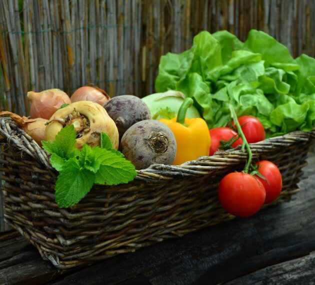 Vegetarische Ernährung scheint Krebsrisiko zu senken