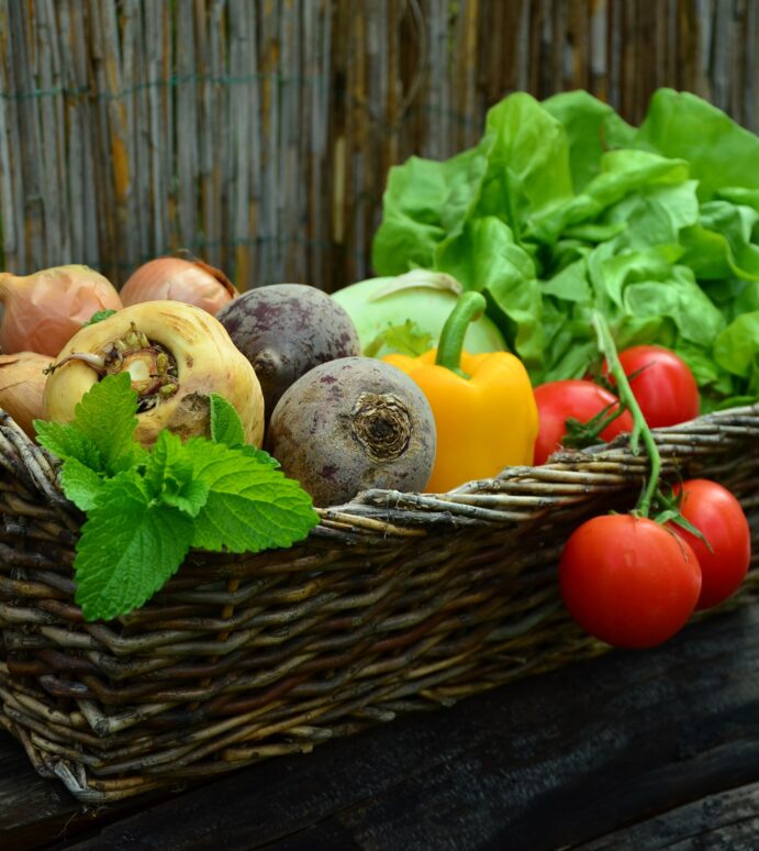 Vegetarische Ernährung scheint Krebsrisiko zu senken