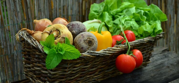 Vegetarische Ernährung scheint Krebsrisiko zu senken