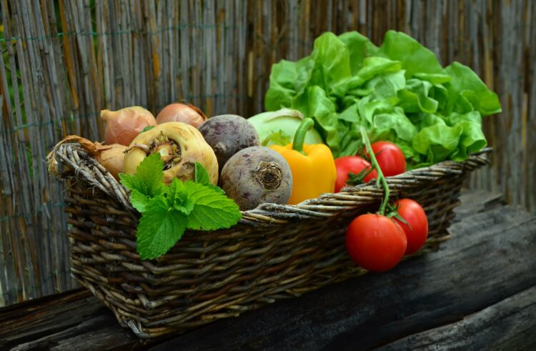 Vegetarische Ernährung scheint Krebsrisiko zu senken