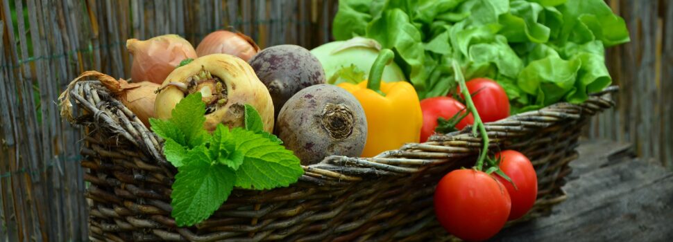 Vegetarische Ernährung scheint Krebsrisiko zu senken
